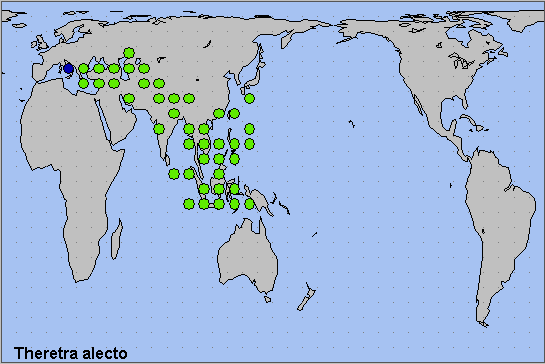 Global distribution of Theretra alecto. Map: © Tony Pittaway.