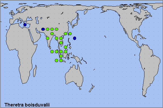 Global distribution of Theretra boisduvalii. Map: © NHMUK.