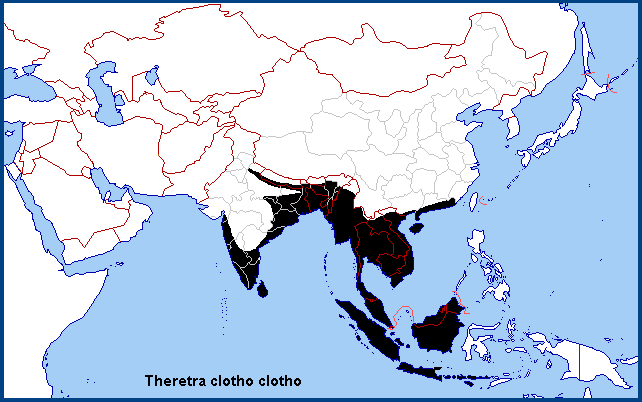 Global distribution of Theretra clotho clotho. Map: © NHMUK.