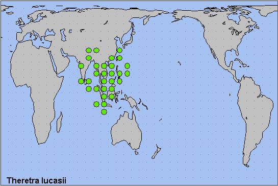 Global distribution of Theretra lucasii. Map: © NHMUK.