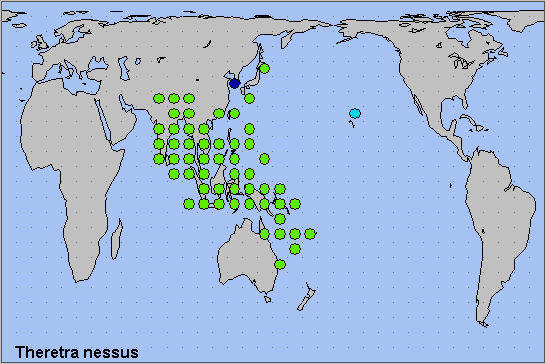 Global distribution of Theretra nessus. Map: © NHMUK.