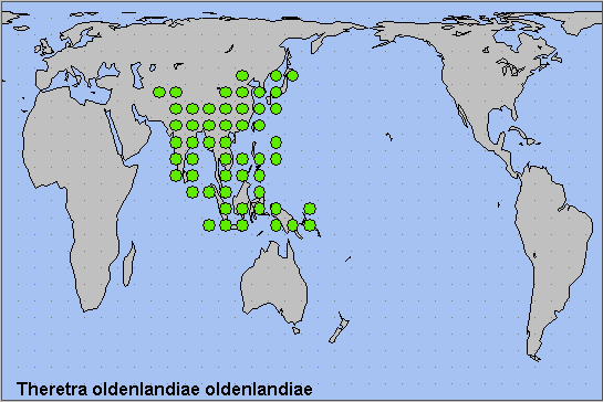Global distribution of Theretra oldenlandiae oldenlandiae. Map: © NHMUK.