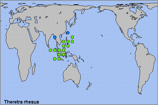 Global distribution of Theretra rhesus. Map: © NHMUK.