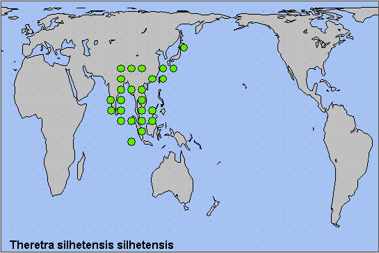 Global distribution of Theretra silhetensis silhetensis. Map: © NHMUK.