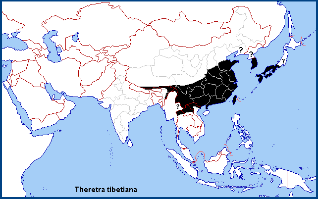 Global distribution of Theretra tibetiana. Map: © NHMUK.