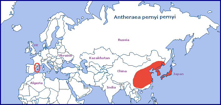 Global distribution of Antheraea pernyi pernyi. Map: © Tony Pittaway.