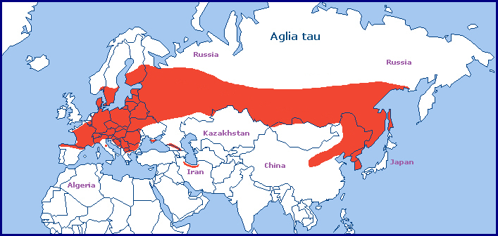 Global distribution of Aglia tau. Map: © Tony Pittaway.