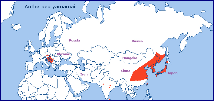 Global distribution of Antheraea yamamai. Map: © Tony Pittaway.