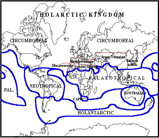 Floristic kingdoms of the world.