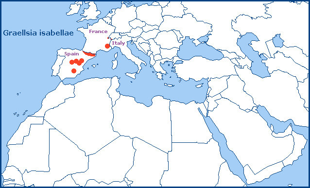 Global distribution of Graellsia isabellae. Map: © Tony Pittaway.