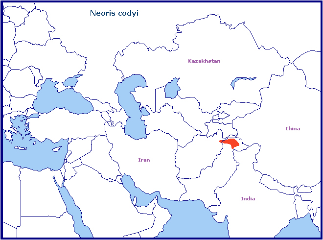 Global distribution of Neoris codyi. Map: © Tony Pittaway.
