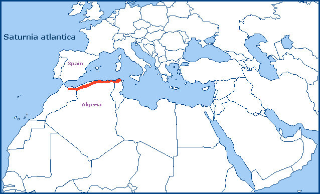Global distribution of Saturnia atlantica. Map: © Tony Pittaway.