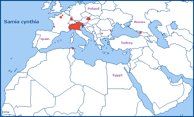 European distribution of Samia cynthia. Map: © Tony Pittaway.