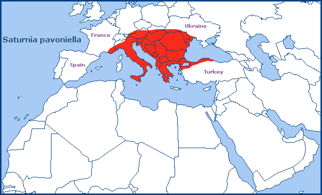 Global distribution of Saturnia pavoniella. Map: © Tony Pittaway.