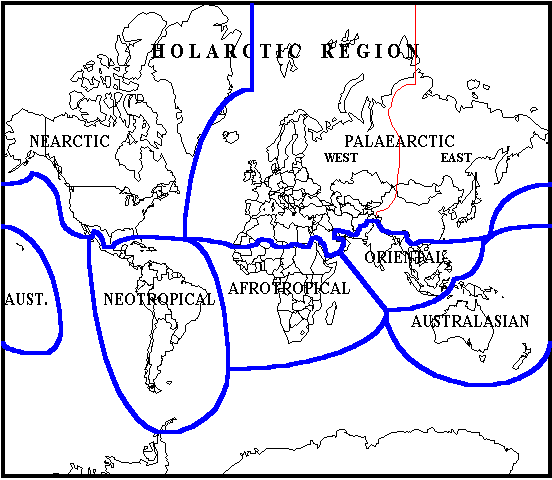 Zoogeographical map of the world.