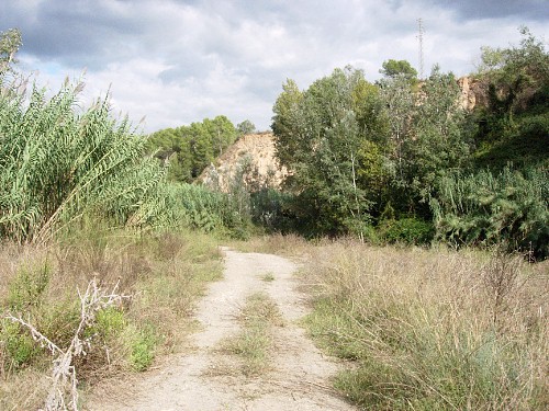 Typical habitat of Agrius convolvuli, Catalonia, Spain. Photo: © Ben Trott.