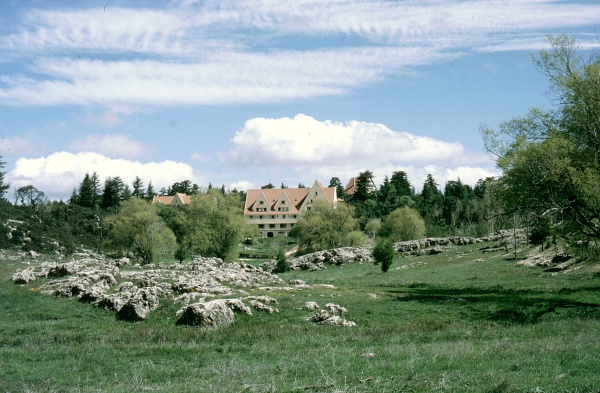 Typical mountain habitat of Hemaris aksana, Ifrane, Morocco. Photo: © Tony Pittaway.