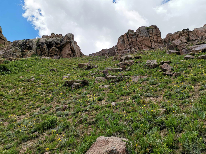 Typical alpine habitat of Hemaris alaiana, near Bishkek, Kyrgyzstan. Photo: © Serge Yevdoshenko, 2019.