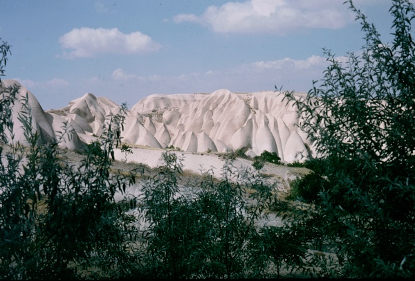 Typical habitat of Hyles hippophaes bienerti, Central Turkey. The shrub in the foreground is Elaeagnus angustifolia. Photo: © Tony Pittaway.