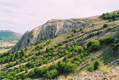 Typical habitat of Hemaris croatica croatica, Crimea, Ukraine. Photo: © Serge Yevdoshenko.