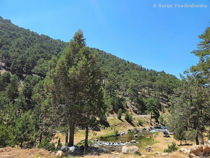 Habitat of Hemaris dentata, Anamas Daglari, Anatolia, Turkey, June 2024. Photo: © Serge Yevdoshenko.