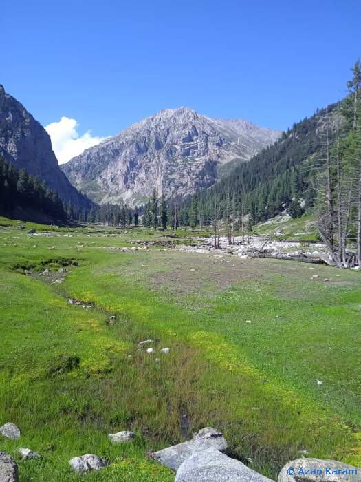 Typical habitat of Hyles nervosa, Janshai Meadow, Swat Valley, Khyber Pakhtunkhwa, northwestern Pakistan, viii.2022. Photo: © Azan Karam.