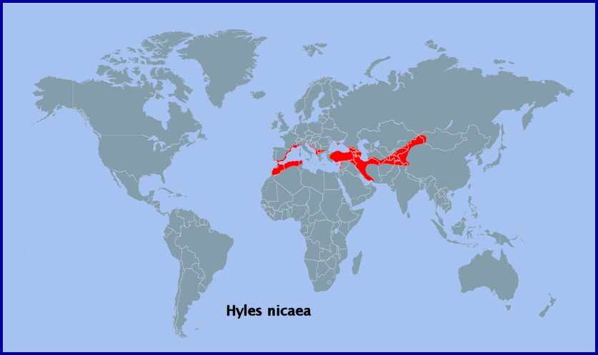 Global distribution of Hyles nicaea. Map: © Tony Pittaway.