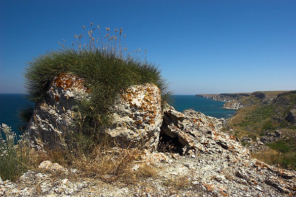 Typical habitat of Hyles nicaea orientalis, Tarkhankut, W. Crimea, Ukraine. Photo: © Nickolai Ivshin.
