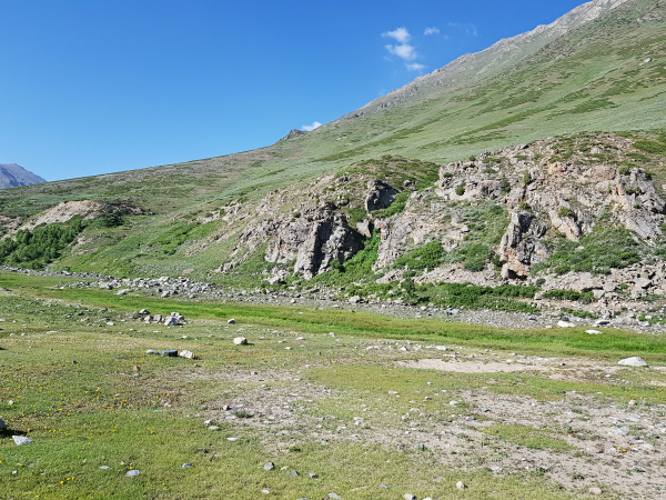 Typical habitat of Hemaris rubra, Chilam, Gilgit-Baltistan, Pakistan, 11.vii.2018, 2800m. Photo: © Serge Yevdoshenko.