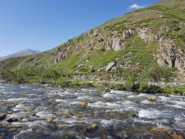 Typical habitat of Hemaris rubra, Chilam, Gilgit-Baltistan, Pakistan, 11.vii.2018, 2800m. Photo: © Serge Yevdoshenko.