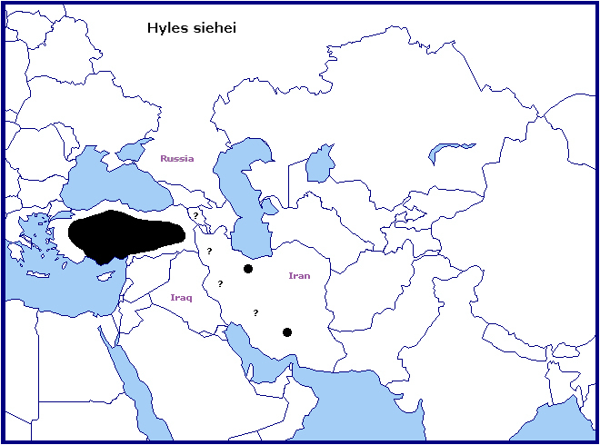 Distribution of Hyles siehei.