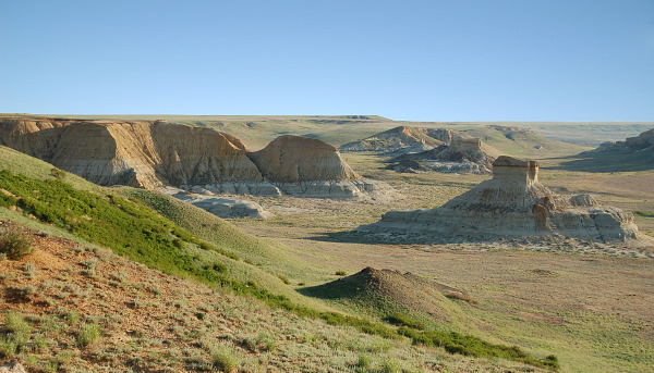 Typical habitat of Hyles svetlana, Shagyray Plateau, Aktobe region, western Kazakhstan. Photo: © Dmitry Shovkoon.