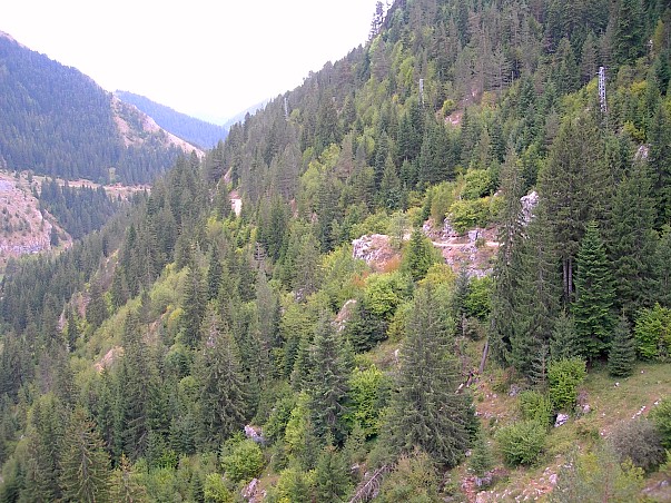 Typical habitat of Hyles vespertilio, Trigrad Gorge, Bulgaria. Photo: © Tony Pittaway.