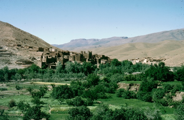 Typical desert habitat of Laothoe austauti, Dadés Gorge, Morocco. Photo: © Tony Pittaway.