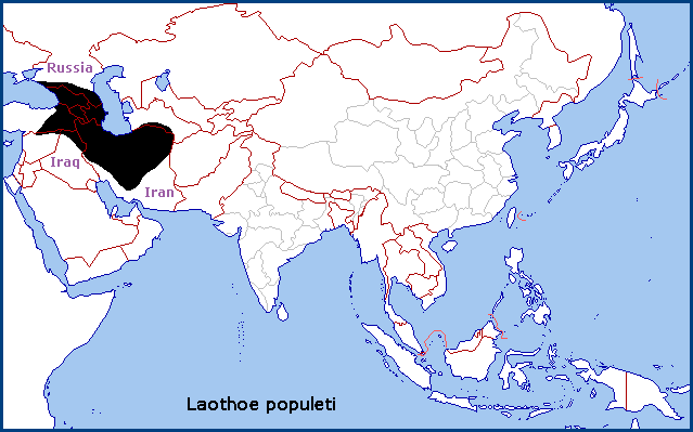 Global distribution of Laothoe populeti. Map: © Tony Pittaway.