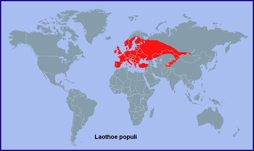 Global distribution of Laothoe populi. Map: © Tony Pittaway.
