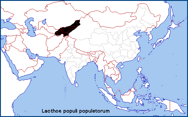 Global distribution of Laothoe populi populetorum. Map: © Tony Pittaway.