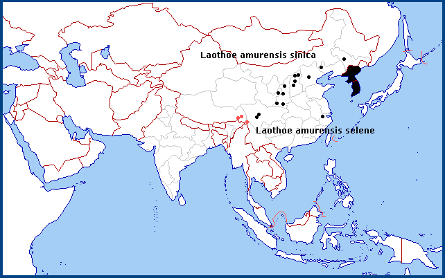 Confirmed distribution of Laothoe amurensis sinica.