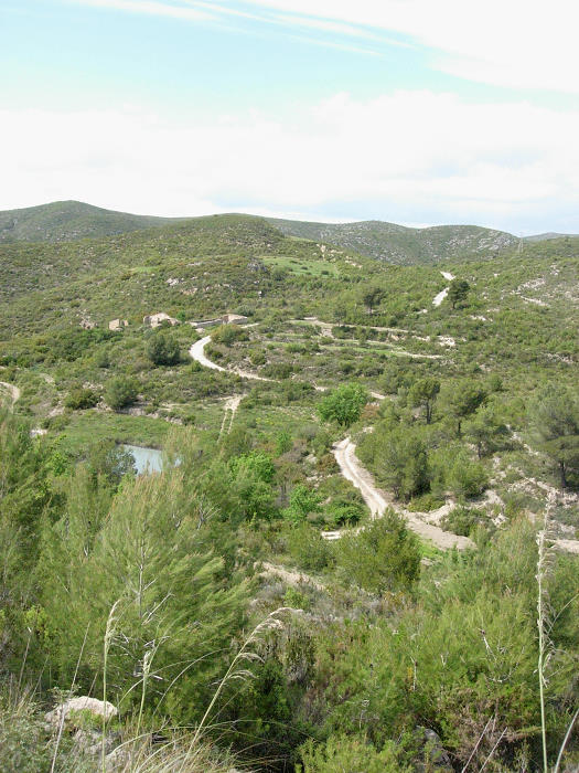 Typical habitat of Macroglossum stellatarum, Catalonia, Spain. Photo: © Ben Trott.