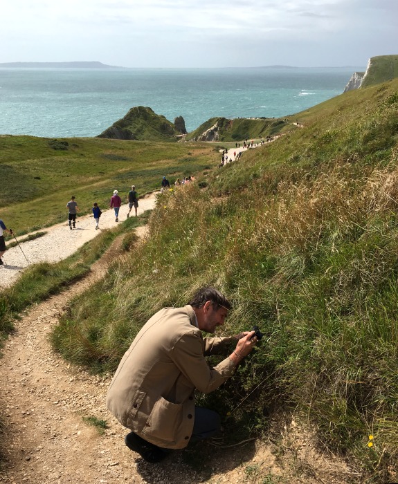 Typical coastal habitat of Macroglossum stellatarum (with Tony Pittaway), Durdle Dor, Lulworth, Dorset, England, 27.vii.2017. Photo: © Qiaoqiao Zhang.