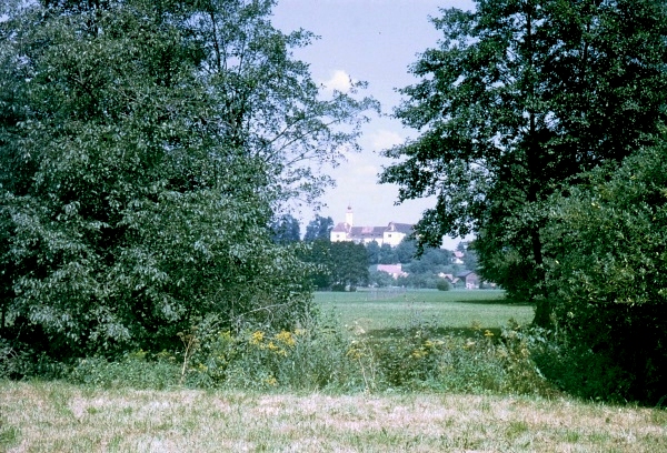 Typical habitat of Mimas tiliae tiliae, Weinburg am Sabach, SE Austria. Photo: © Tony Pittaway.