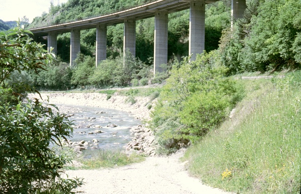 Typical habitat of Proserpinus proserpina, Northern Italy. Photo: © Tony Pittaway.