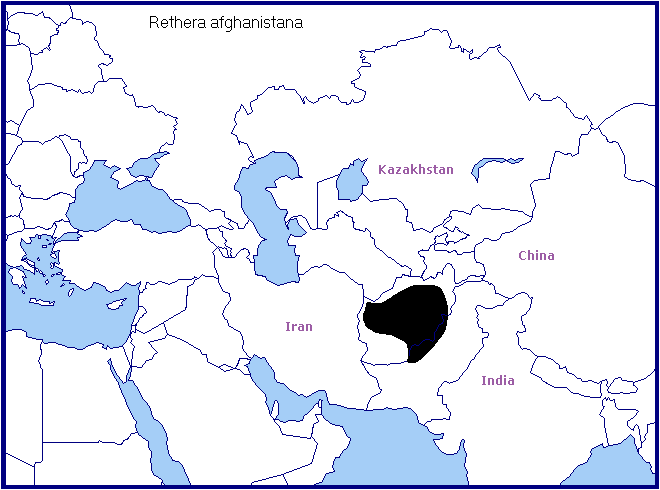 Global distribution of Rethera afghanistana. Map: © Tony Pittaway.