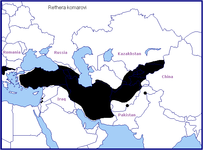 Global distribution of Rethera komarovi. Map: © Tony Pittaway.