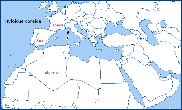 Global distribution of Hyloicus corsica. Map: © Tony Pittaway.