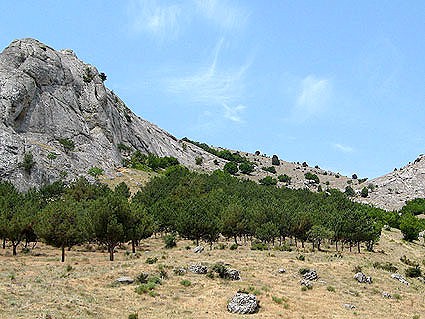 Typical habitat of Sphingonaepiopsis gorgoniades, eastern Crimea, Ukraine. Photo: © Vyacheslav Ivonin & Natalie Ivonina.