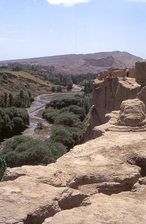 Typical habitat of Smerinthus kindermannii, near Turpan, Xinjiang, China, 1995. Photo: © Tony Pittaway.