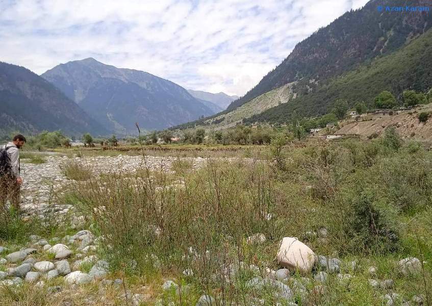 Typical habitat of Smerinthus kindermannii, Utror, Swat Valley, Khyber Pakhtunkhwa, Pakistan. Photo: © Azan Karam.